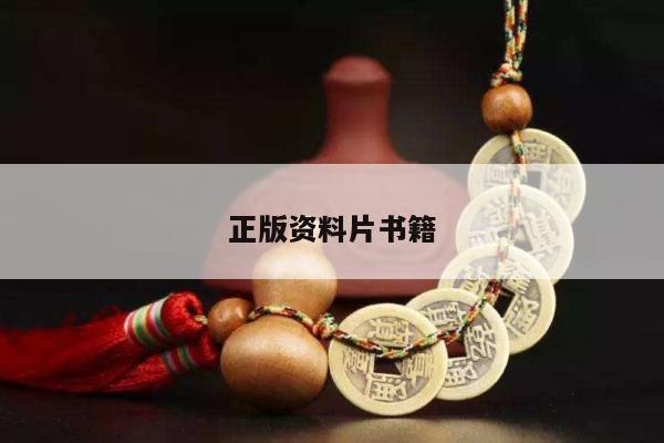 正版资料片书籍/资料书在哪个网站买比较好