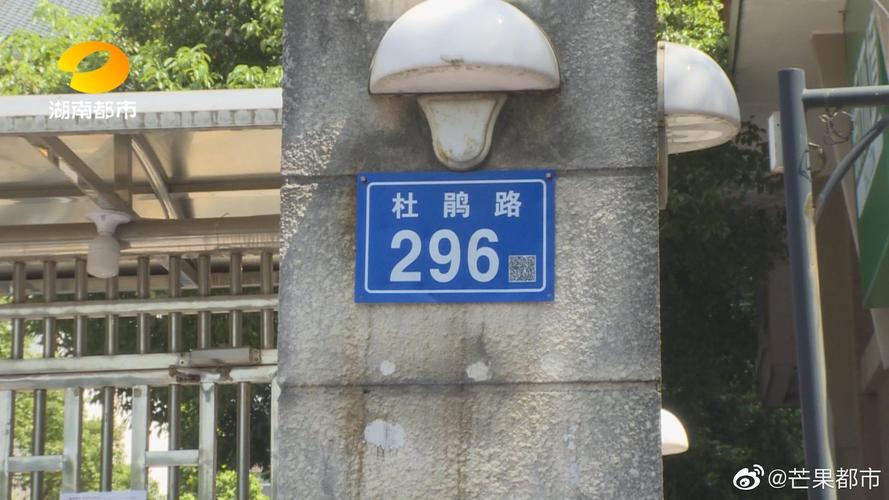 2025最新免费资料大全和弄错门牌新房被拆光与弄错门牌新房被拆光了怎么办