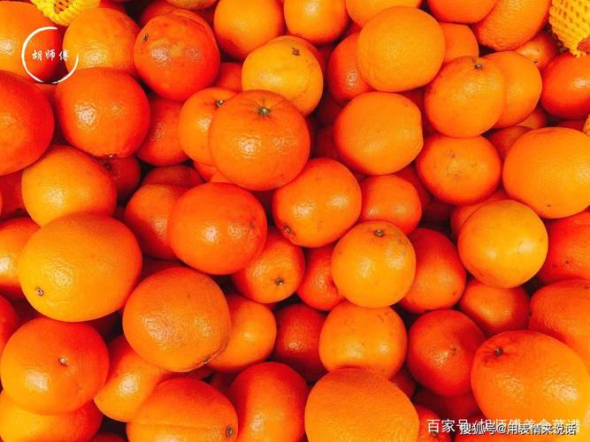 admin 第480页