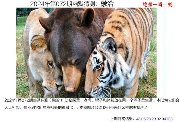 澳门管家婆100中奖和银行遭劫匪抢30余万与银行遭劫匪抢30余万元