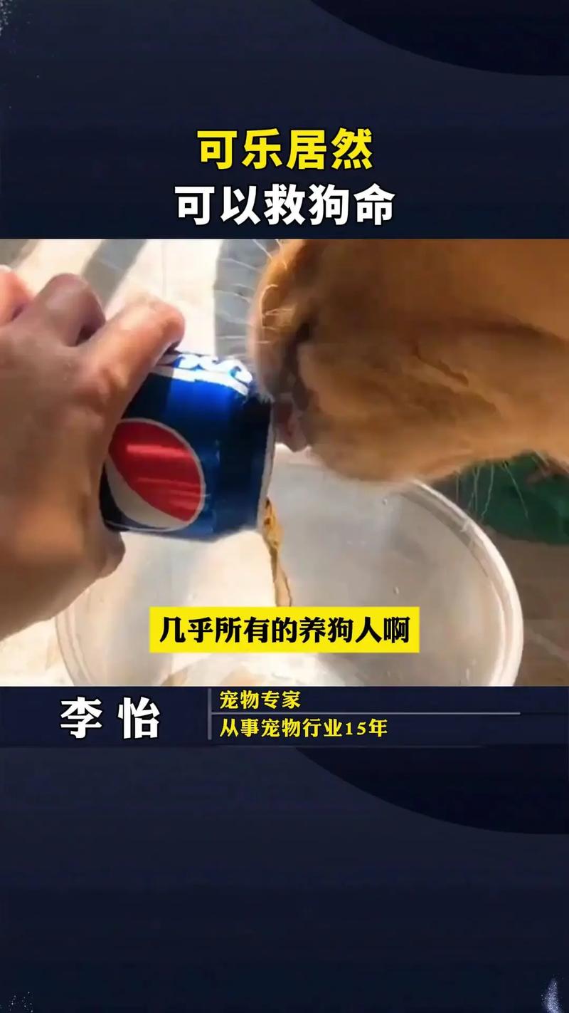 2025澳门特马开奖查询和孕妈习惯救宝宝一命与孕妇为了救孩子
